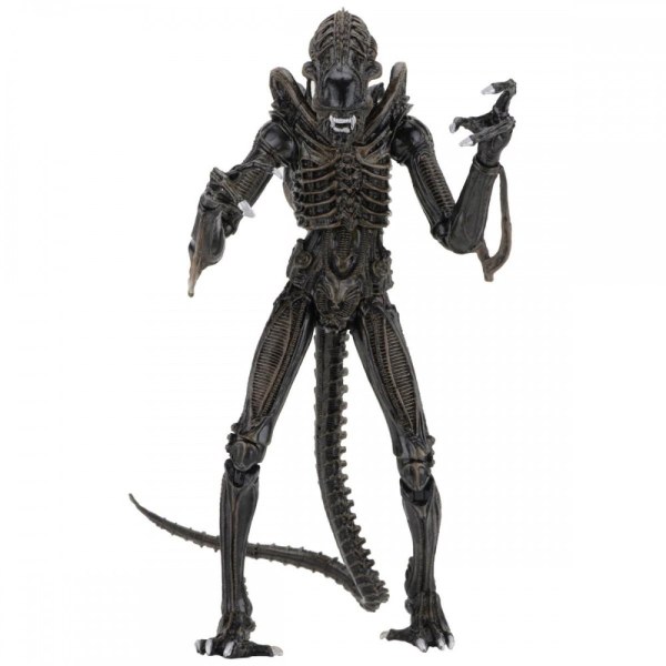 ALIENI - ACTION FIGURE - ULTIMATE ALIENS WARRIORS