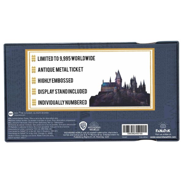 Biglietto del treno di Hogwarts edizione limitata - Harry Potter