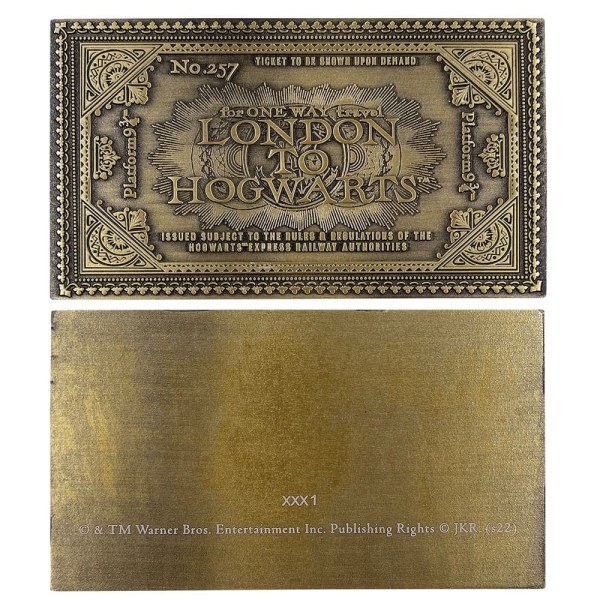 Biglietto del treno di Hogwarts edizione limitata - Harry Potter