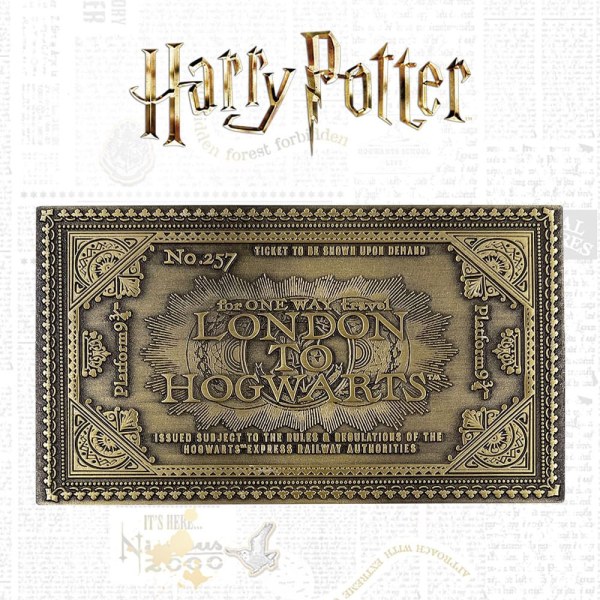 Biglietto del treno di Hogwarts edizione limitata - Harry Potter