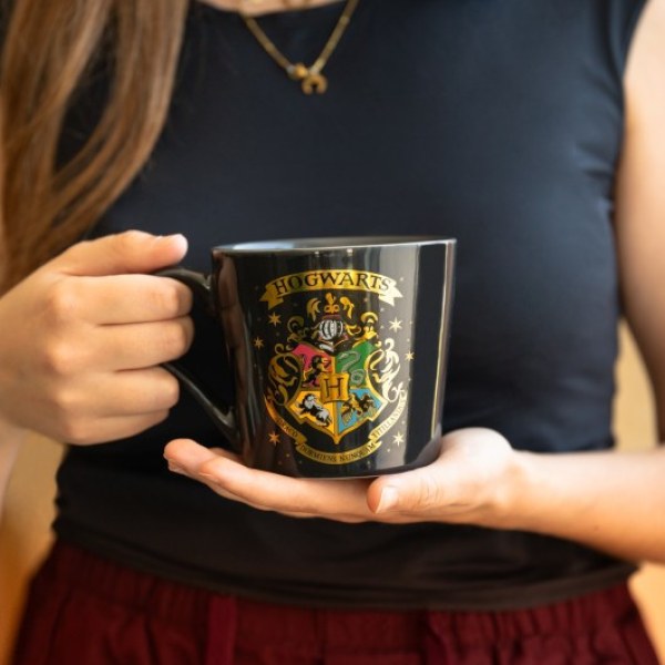 TAZZA PREMIUM POUDLARD - HARRY POTTER