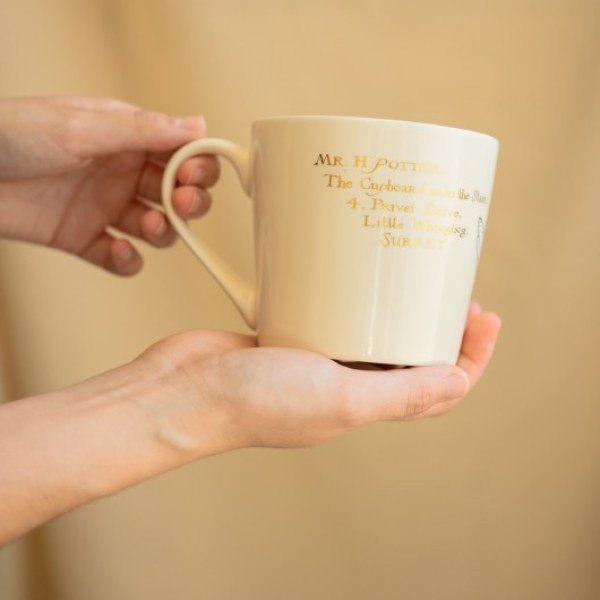 TAZZA PREMIUM HEDWIGE - HARRY POTTER