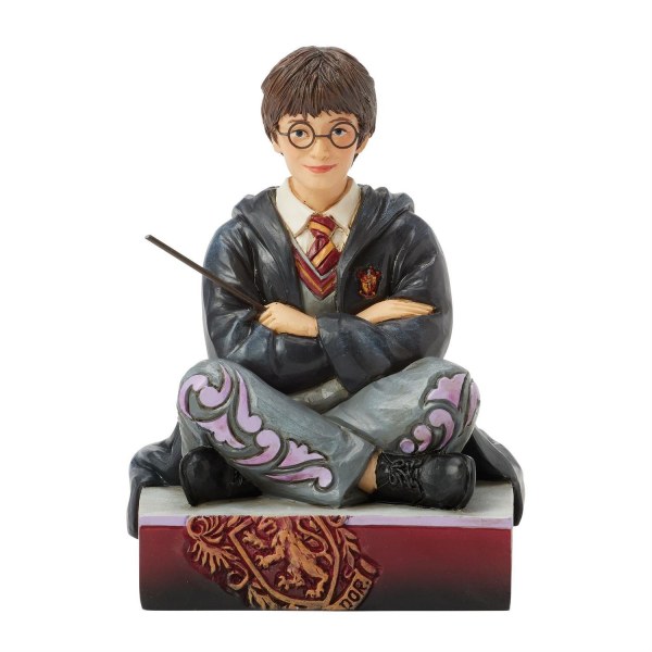 Harry Potter con la bacchetta - Harry Potter