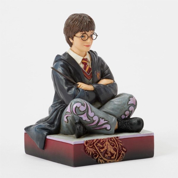 Harry Potter con la bacchetta - Harry Potter
