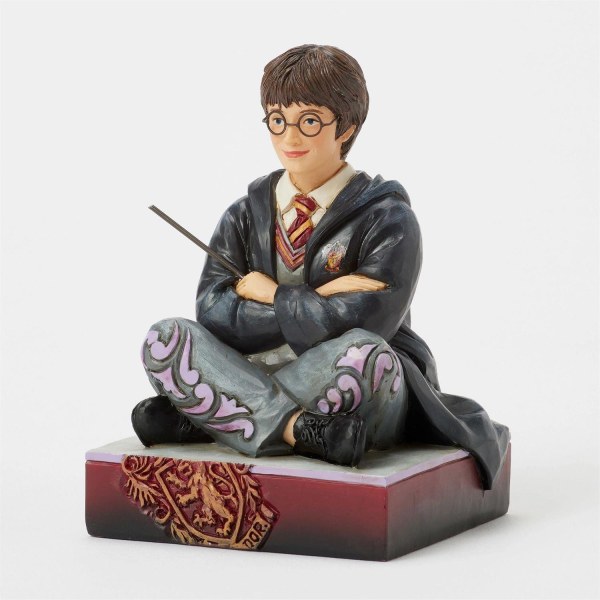 Harry Potter con la bacchetta - Harry Potter