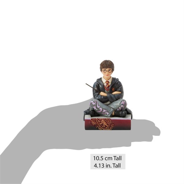Harry Potter con la bacchetta - Harry Potter