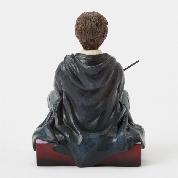 Harry Potter con la bacchetta - Harry Potter
