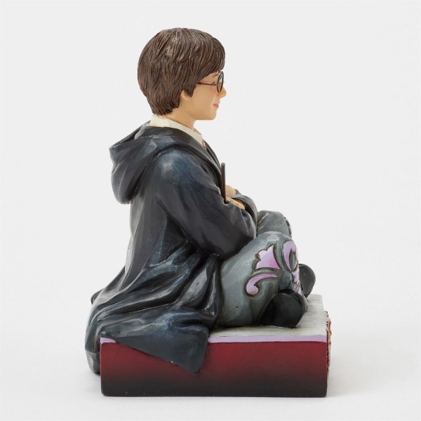 Harry Potter con la bacchetta - Harry Potter