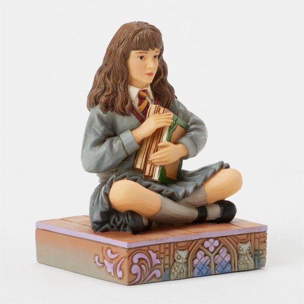 Hermione con i libri - Harry Potter