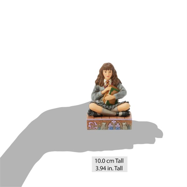 Hermione con i libri - Harry Potter