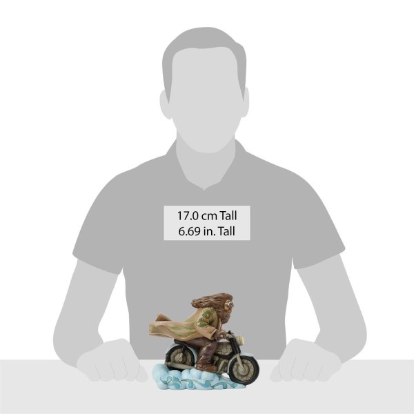 Hagrid in moto - Harry Potter