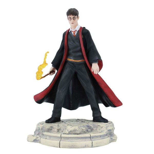 HARRY POTTER YR6 - Harry Potter