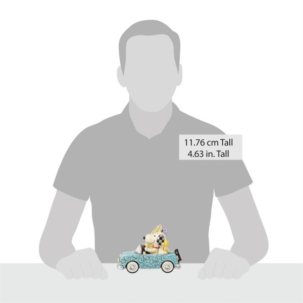 Snoopy e Woodstock in auto surf - Peanuts
