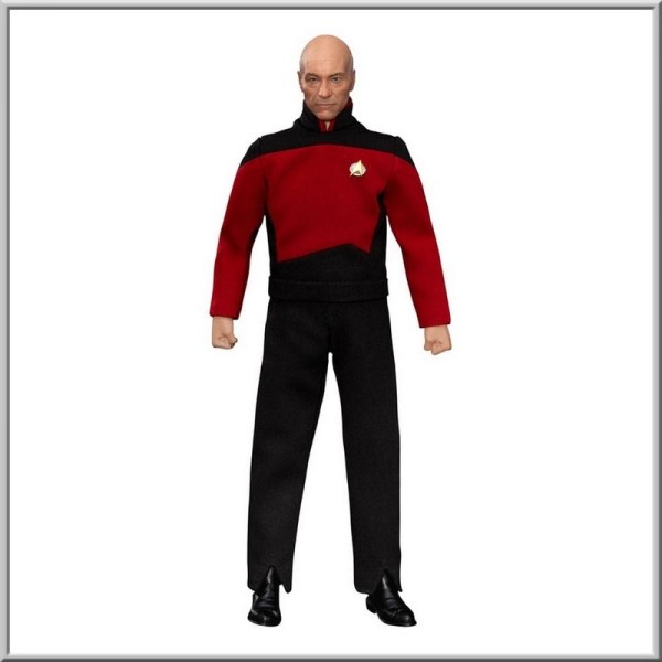 Star Trek: Generations Jean-Luc Picard statuetta da 8 pollici