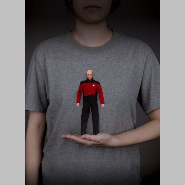 Star Trek: Generations Jean-Luc Picard statuetta da 8 pollici
