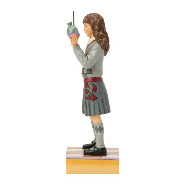 La pozione di Hermione - Harry Potter