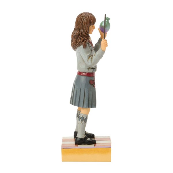 La pozione di Hermione - Harry Potter
