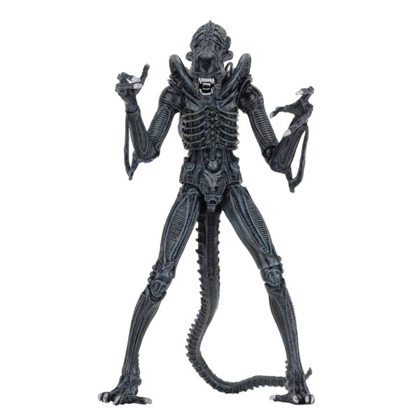 ALIEN - FIGURA D'AZIONE 7" - ULTIMATE ALIENS WARRIOR 1986 (BLU)