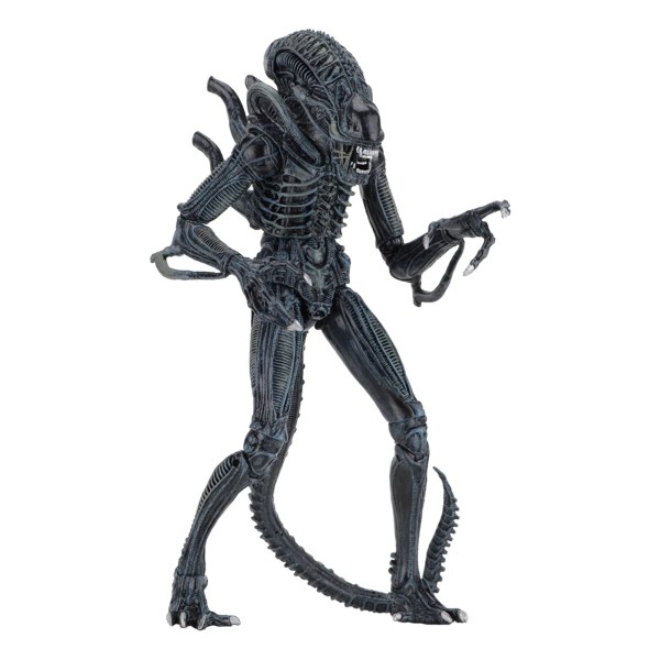 ALIEN - FIGURA D'AZIONE 7" - ULTIMATE ALIENS WARRIOR 1986 (BLU)
