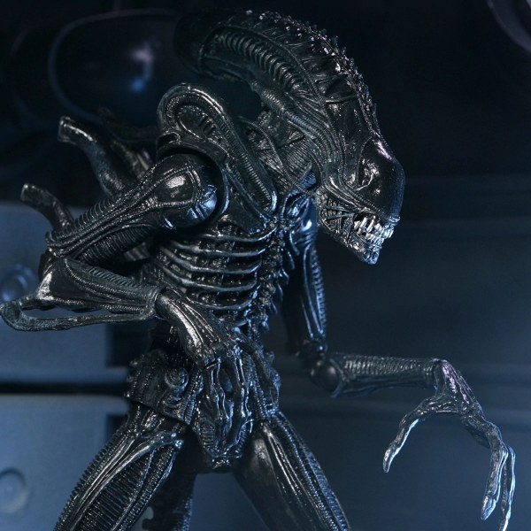 ALIENS - FIGURA D'AZIONE IN SCALA 7" - XENOMORFO GUERRIERO SUPREMO 40° ANNIVERSARIO (NERO)